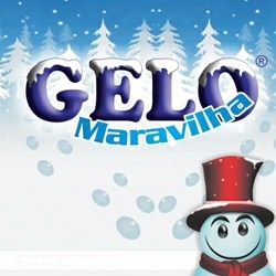 GELO MARAVILHA FÁBRICA E DISTRIBUIDORA
